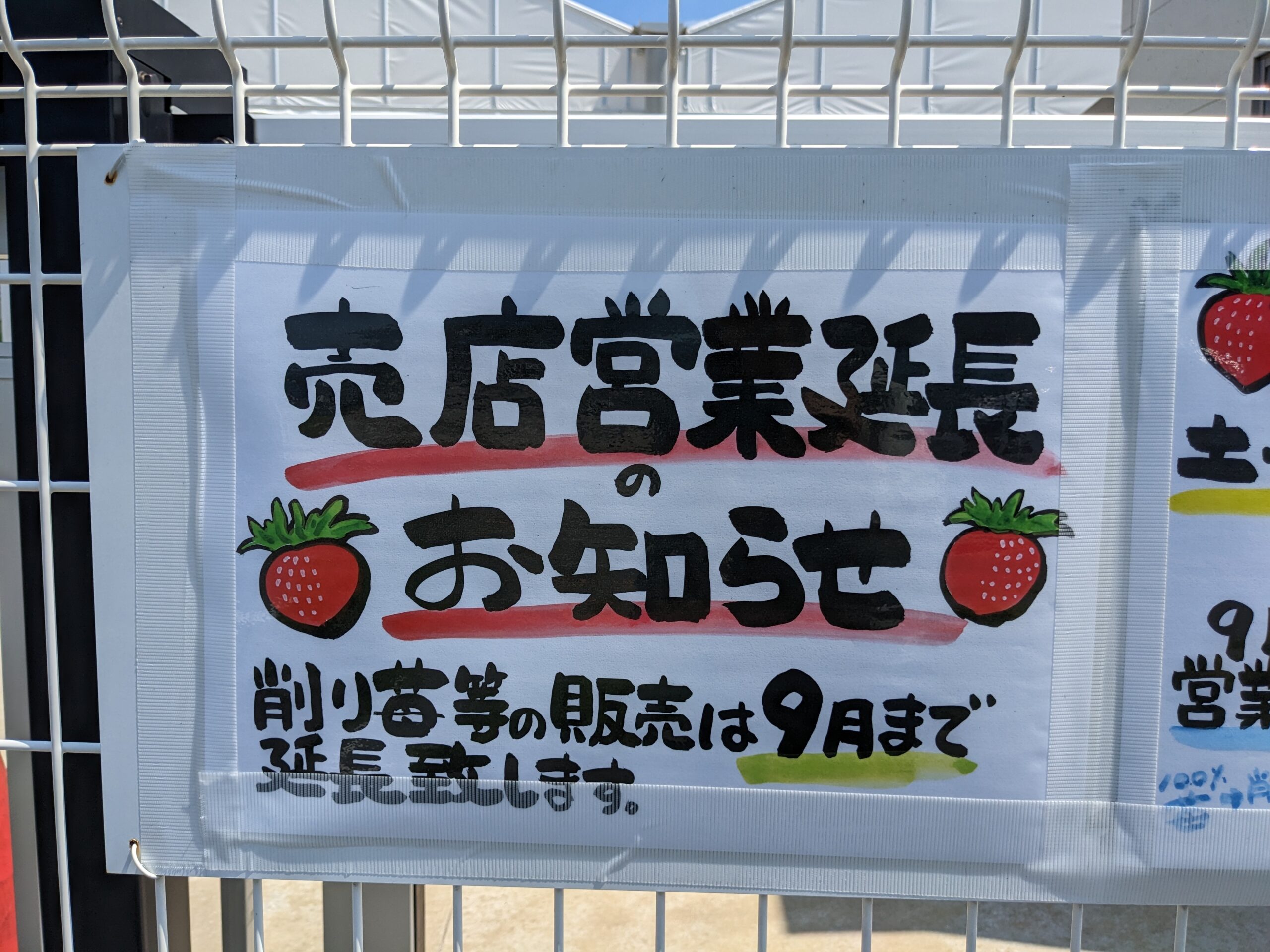 9/7(土)🍓9/8(日) 夏季営業＆栗販売