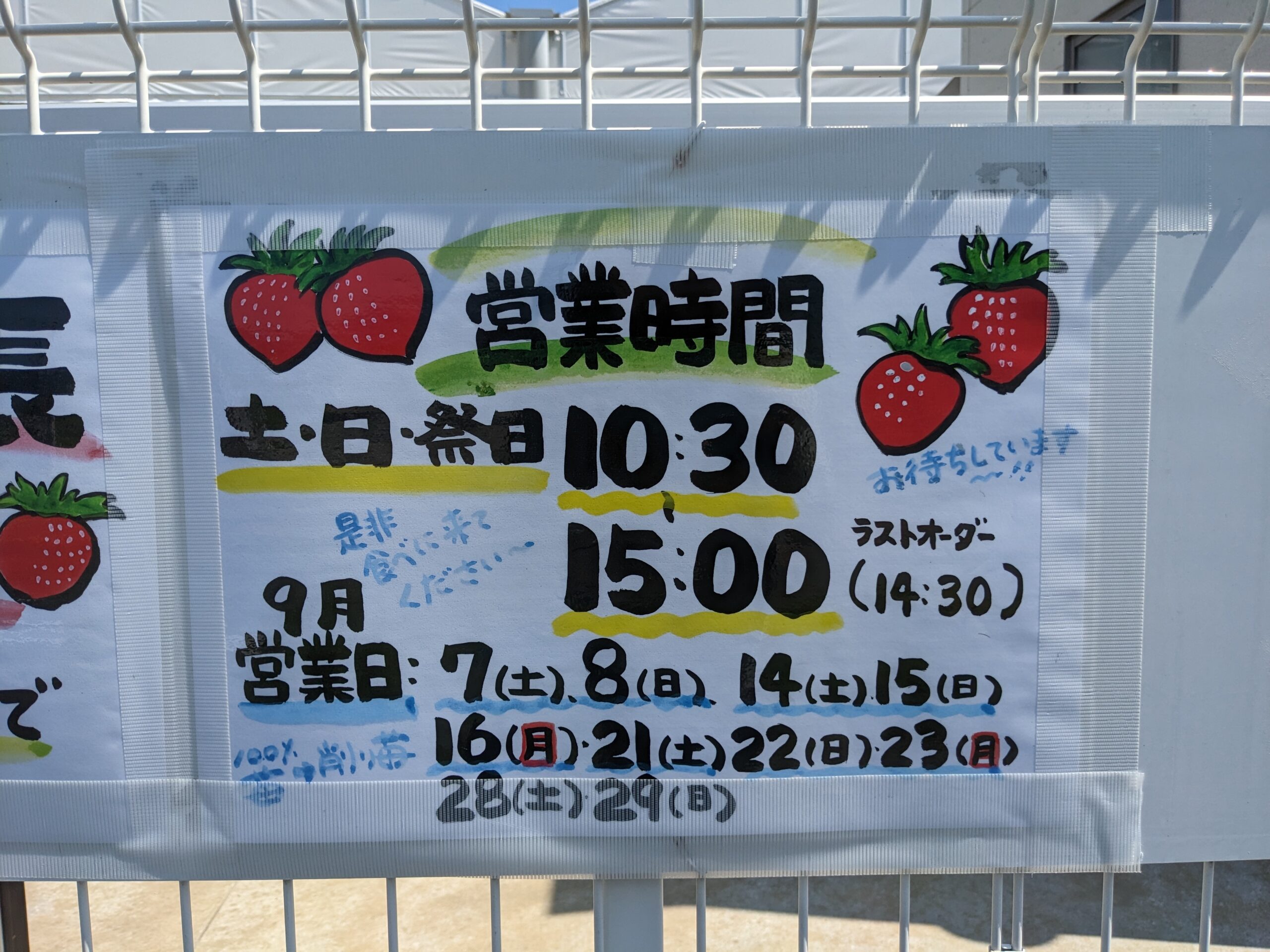 【次回 夏季営業日】9/14(土)🍓9/15(日)🍓9/16(月)