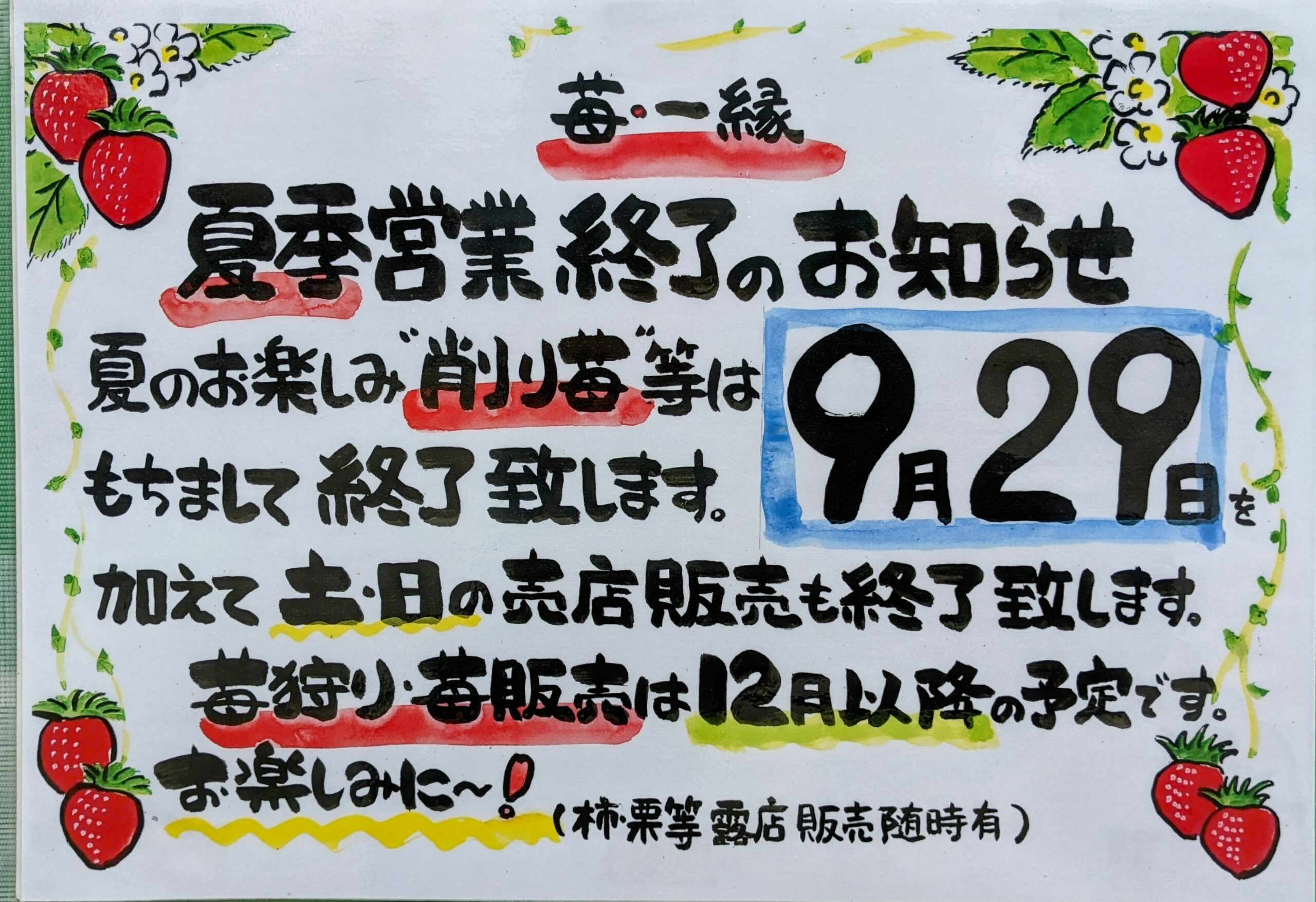 今シーズンの削り苺は9/29をもちまして終了