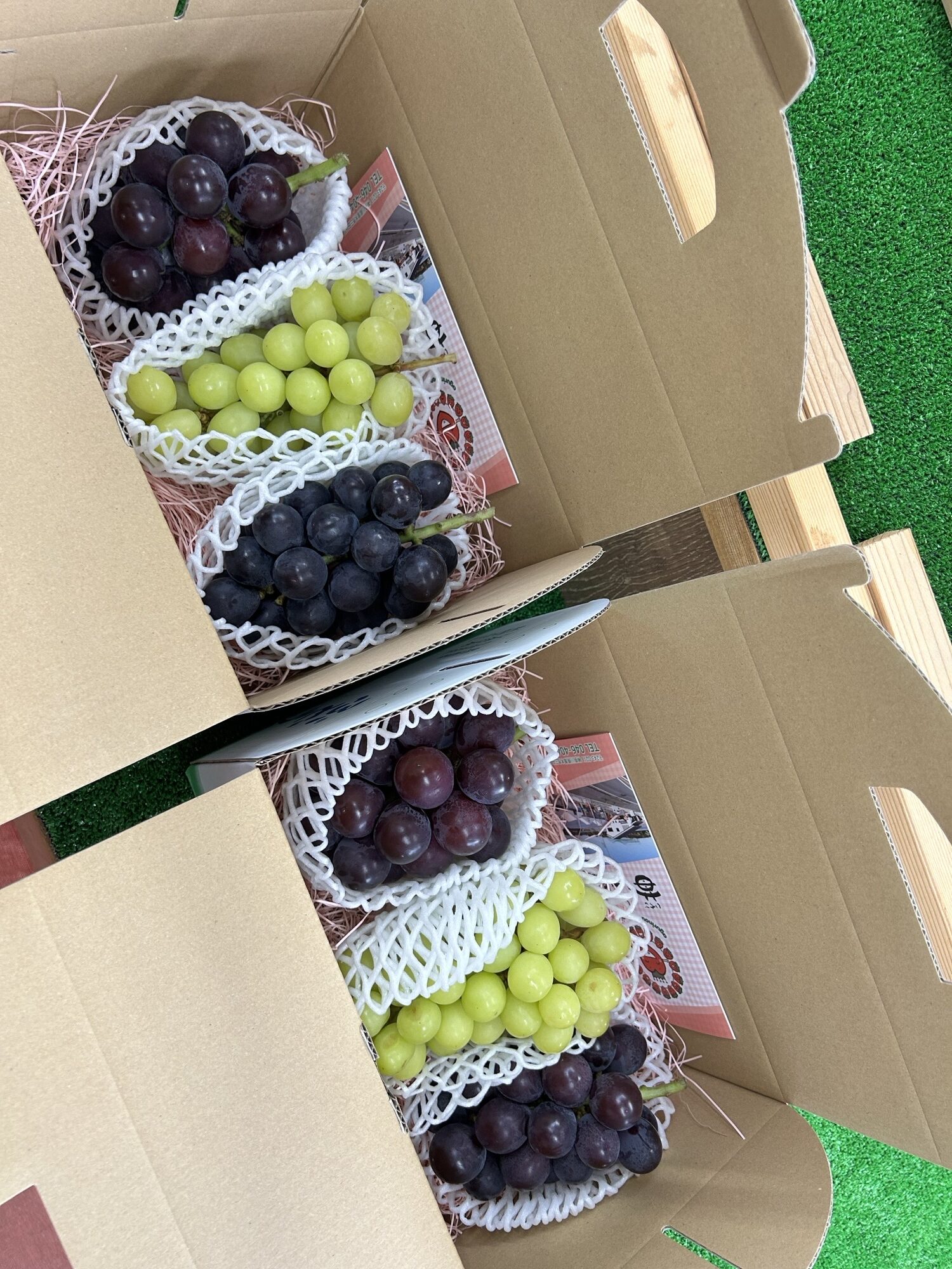 各種ぶどう販売中