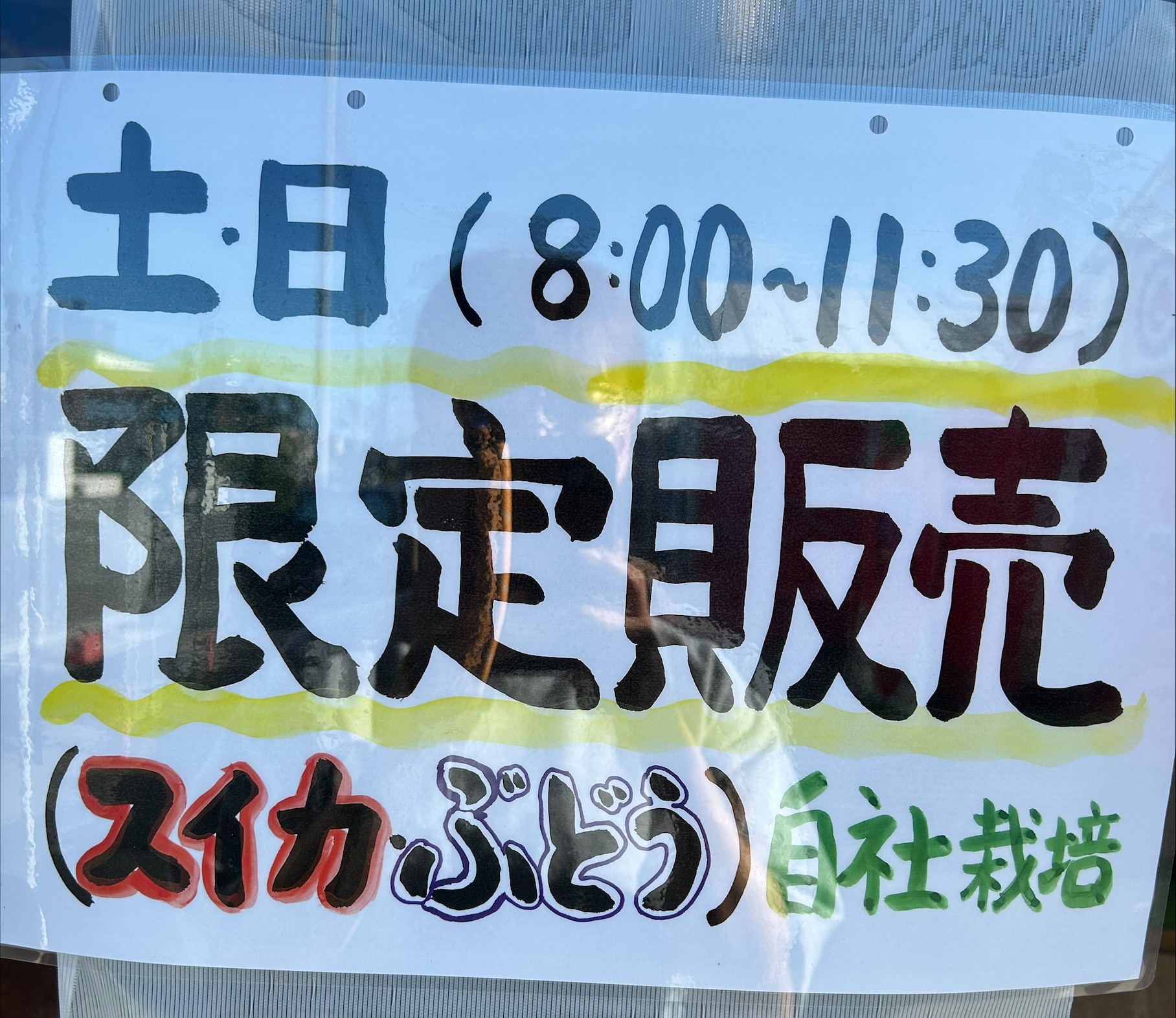 R8・8/8　ぶどう・スイカ販売お待たせいたしました！！